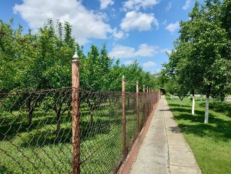 Teren de 1200 mp, în Șimand