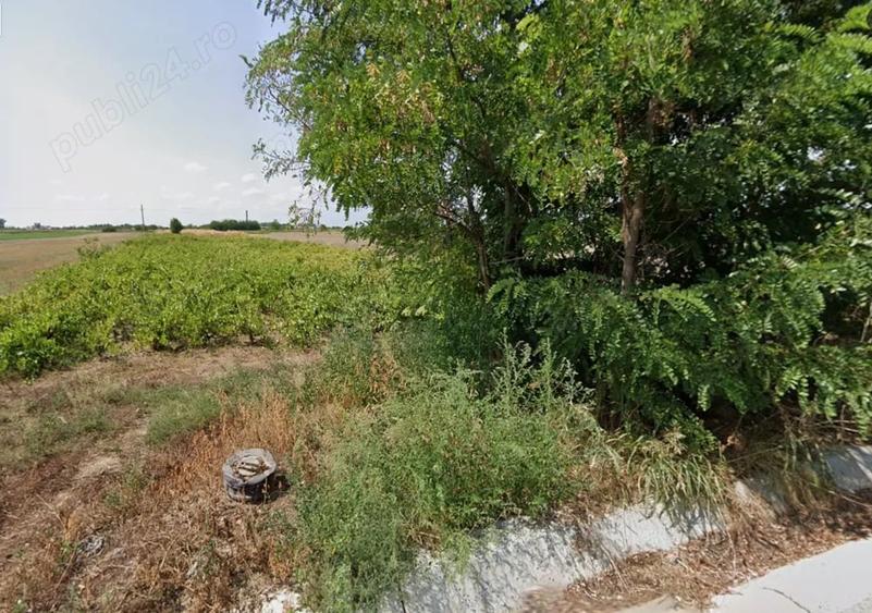 Teren de 3500 mp, în Chiscani