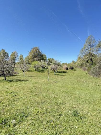 Teren de 4193 mp, în Breb