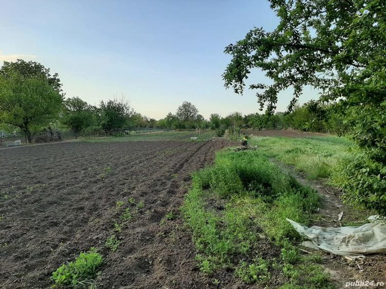 Teren de 4000 mp, în Măgureni