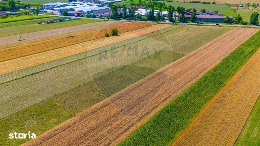 Teren de 7000 mp, în Teliu