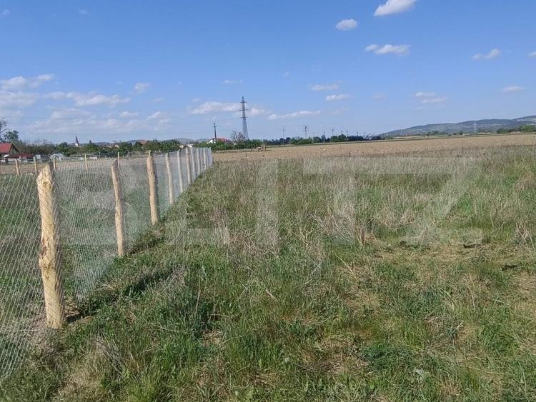 Teren Construcții intravilan de 525 mp, în Sud