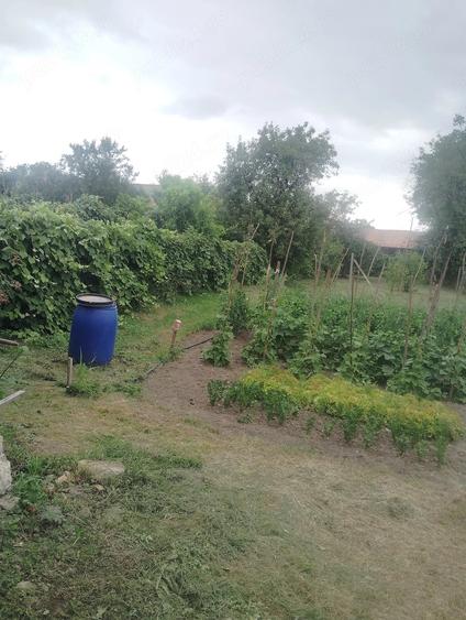 Casă cu Teren 850 Mp în Vânători