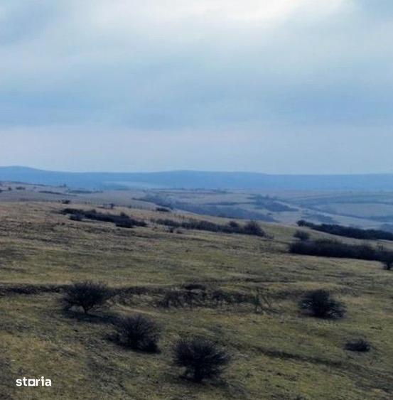 Teren extravilan Dealul Daii Sibiu-67000mp - 2