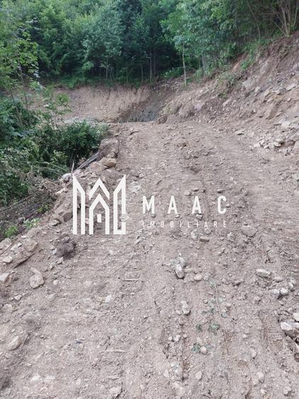 Teren agricol extravilan de 5000 mp, în Bistra