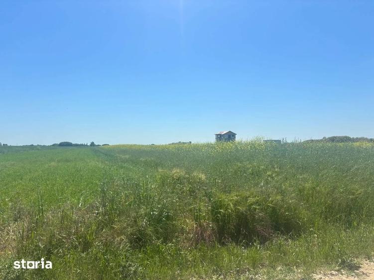 Loturi teren 500 m P+1+M Berceni - Vidra Actele la zi Puz valabil - 2