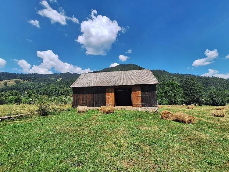 Teren de 18200 mp, în Tulgheș