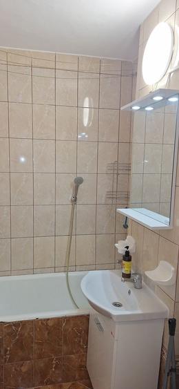 Apartament 1 Camera Gorjului - 11