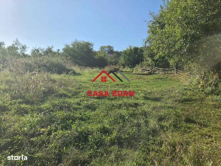 Teren intravilan in Cornu (Ph)--1490 mp--29e - 18