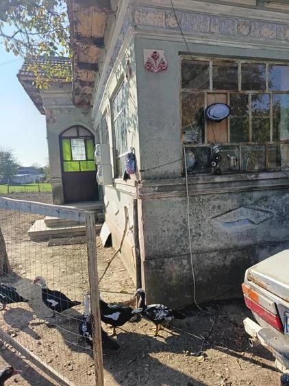 Casă cu Teren 3700 Mp în Verguleasa