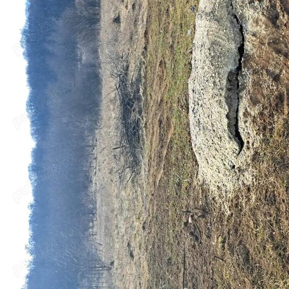 Teren de 1000 mp, în Câmpenești