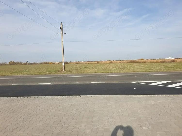 Teren de 32300 mp, în Sud