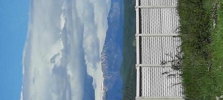 Teren de 8000 mp, în Drăgoești