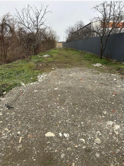 Teren Construcții intravilan de 10000 mp, în Tomești
