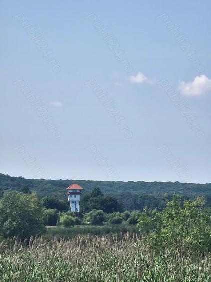 Teren de 250000 mp, în Comana