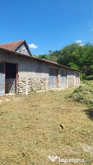 Casă cu 2 camere în Rapolțel