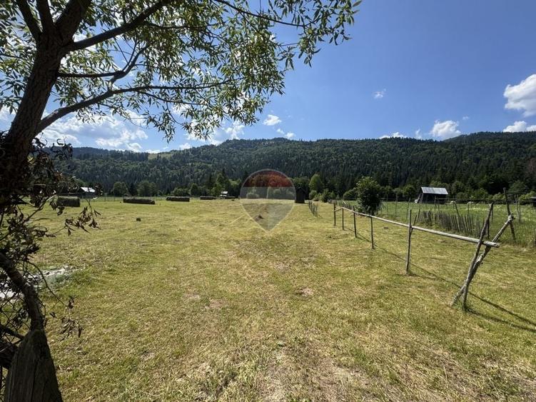 Teren Construcții intravilan de 2802 mp, în Borca