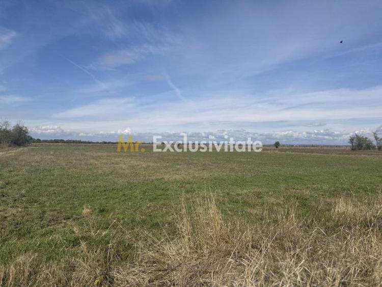 Teren de 3700 mp, în Rătești