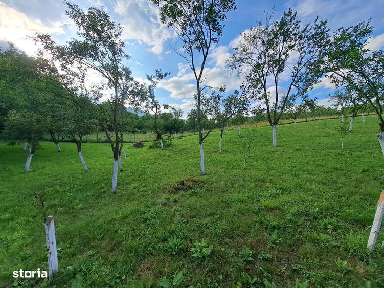 Teren de 2400 mp, în Galda de Jos