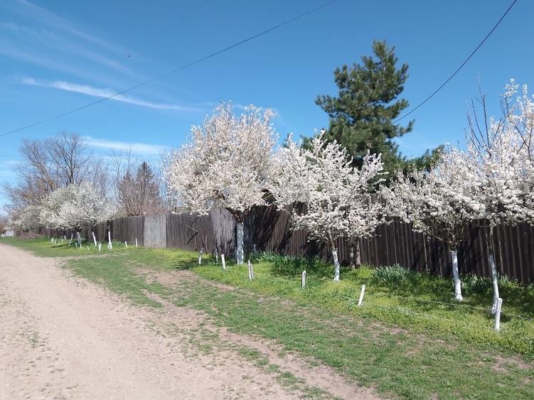 Casă cu 4 camere în Valea Stânii