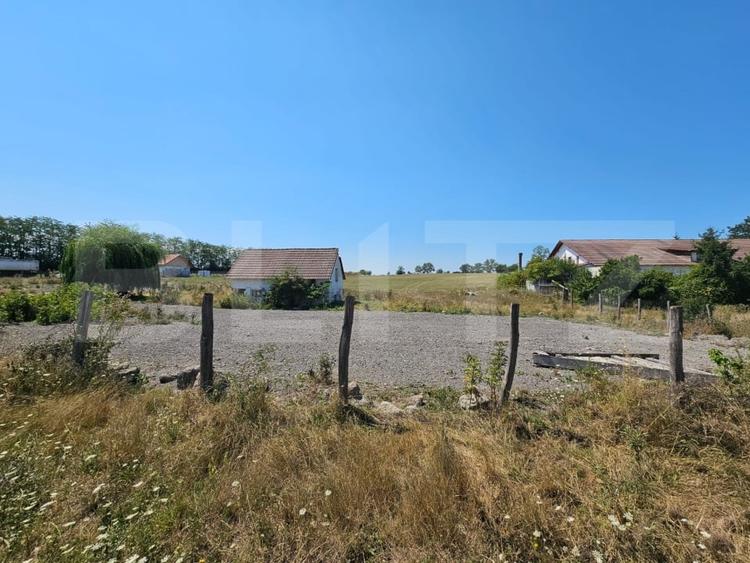 Teren Construcții intravilan de 4000 mp, în Pianu