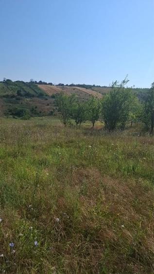 Teren de 17967 mp, în Călinești