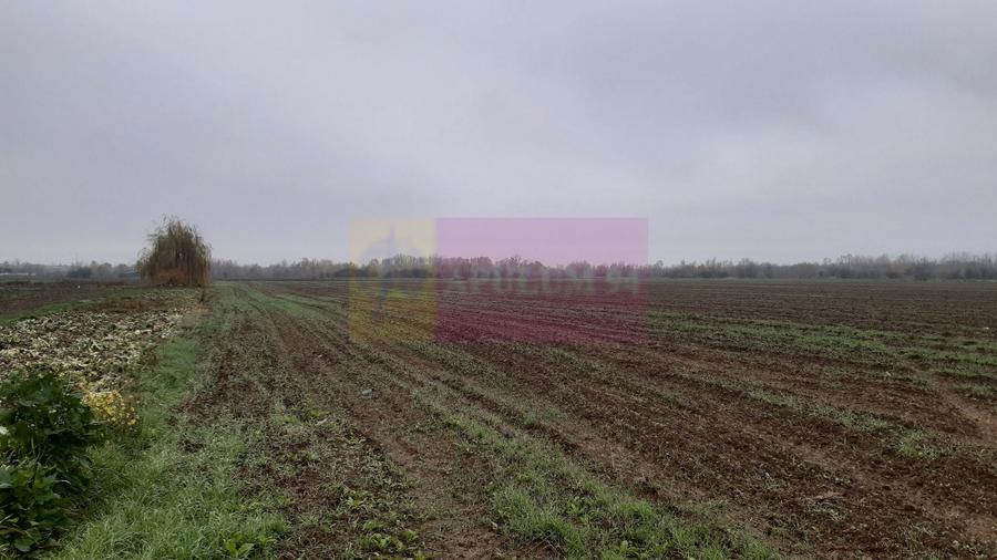 Teren Construcții intravilan de 2250 mp, în 1 Decembrie