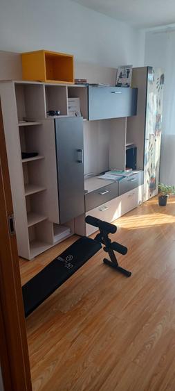 Apartament cu 2 camere în Șagului