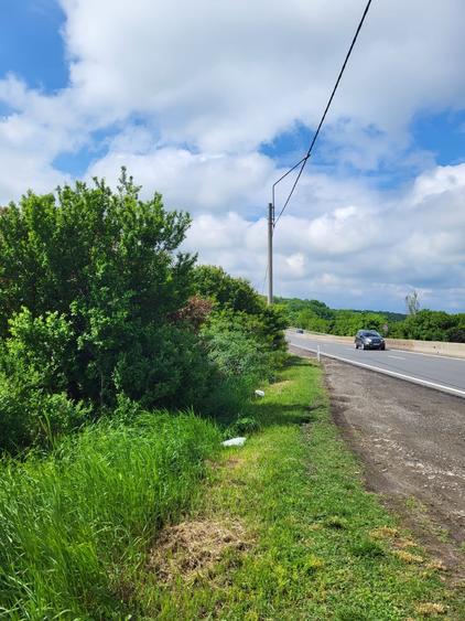 Teren agricol intravilan de 10000 mp, în Săftica