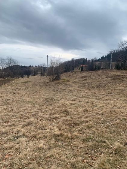 Teren Construcții intravilan de 1500 mp, în Rogojel