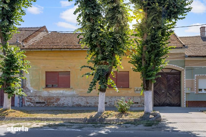 Apartament spa?ios la casa, 234 mp utili, ultracentral in Pecica - 1