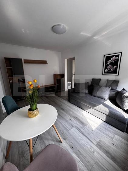 Apartament cu 2 camere semidecomandat, mobilat în Nord-Est