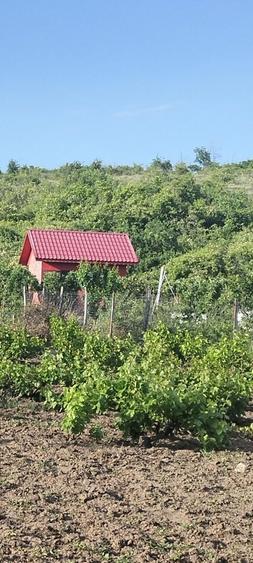 Teren de 1600 mp, în Potoceni