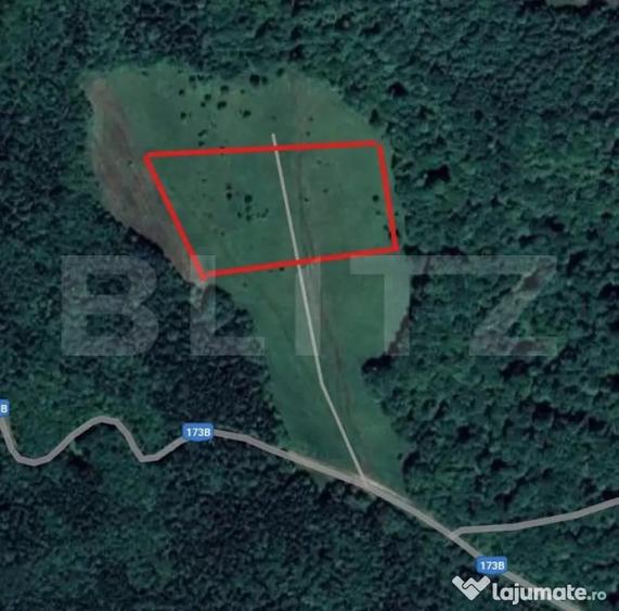 Teren extravilan de vanzare, 2,4 hectare, zona drumul Tarpiu - 1