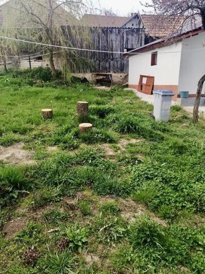 Casă individuală cu 4 camere cu Canalizare în Sânmihaiu Almașului