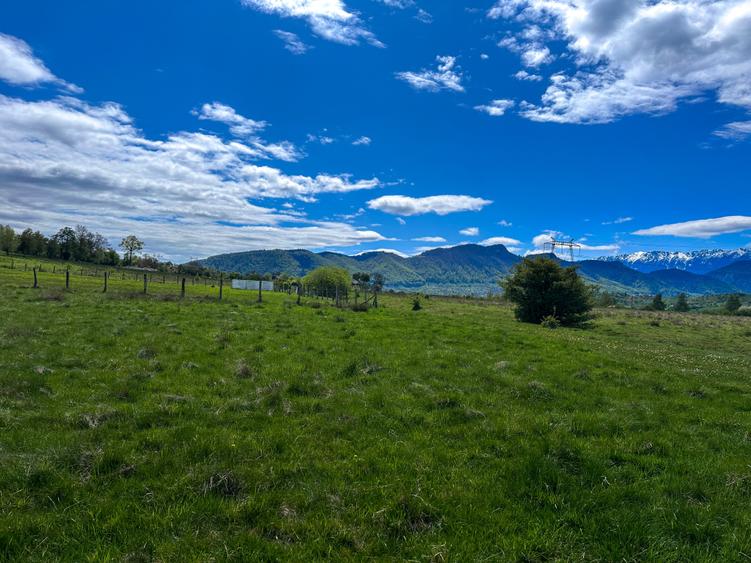 Teren agricol intravilan de 900 mp, în Tohanu Nou