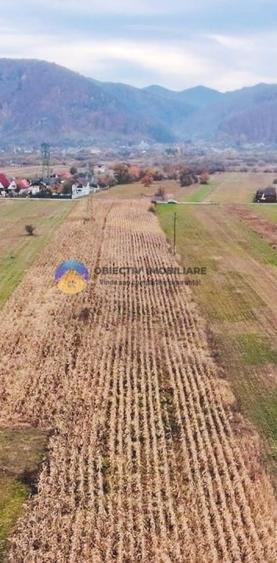 Teren Construcții de 5533 mp, în Alexandru cel Bun