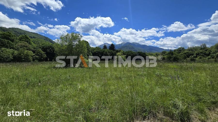 Teren de 5000 mp, în Glăjărie