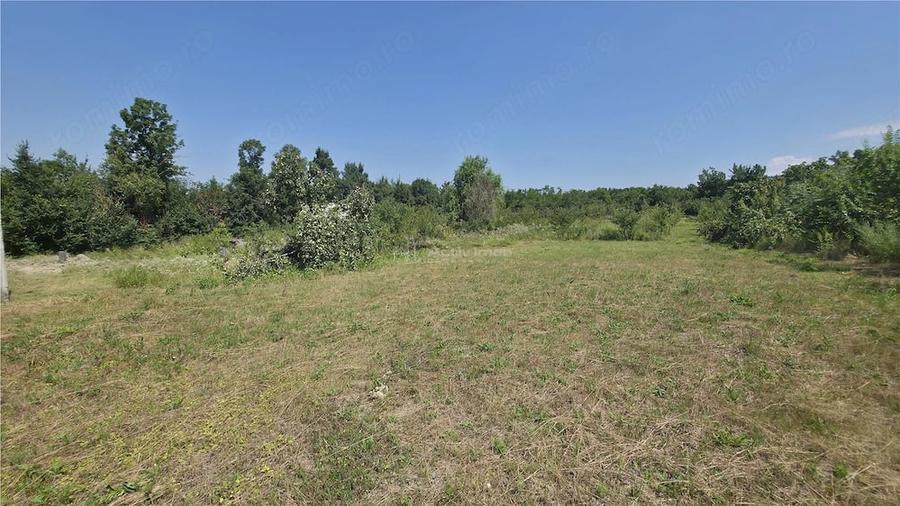 Casă cu Teren 5314 Mp în Răchitova