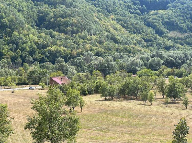 Teren Construcții intravilan de 6354 mp, în Mihăileni