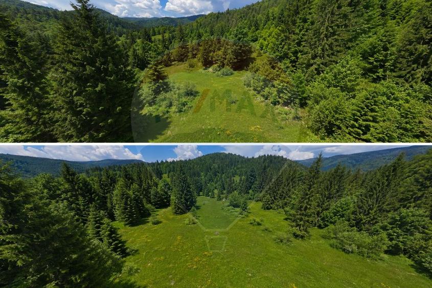 Teren Construcții intravilan de 2966 mp, în Arieșeni