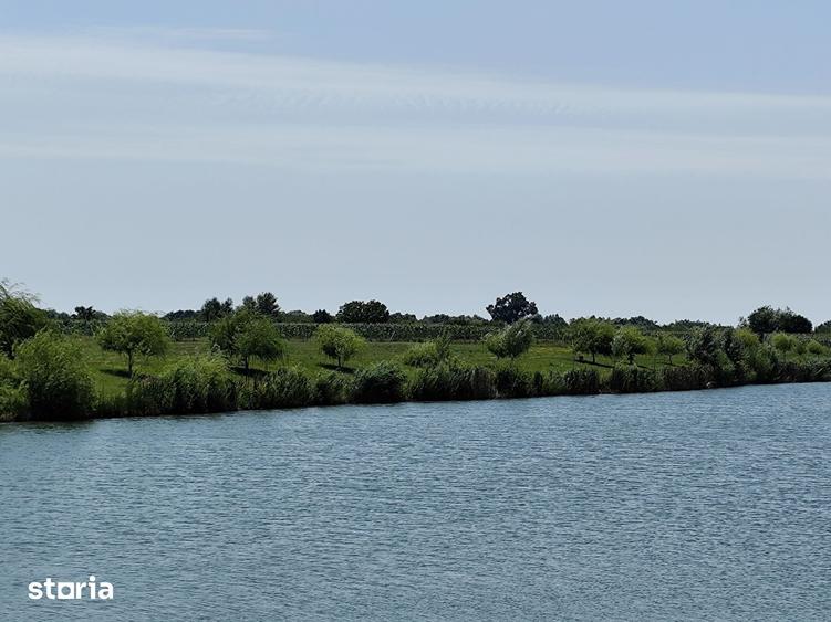Balta de Pescuit, Cabana din Busteni, Teren 6,37 ha, langa Oradea - 6