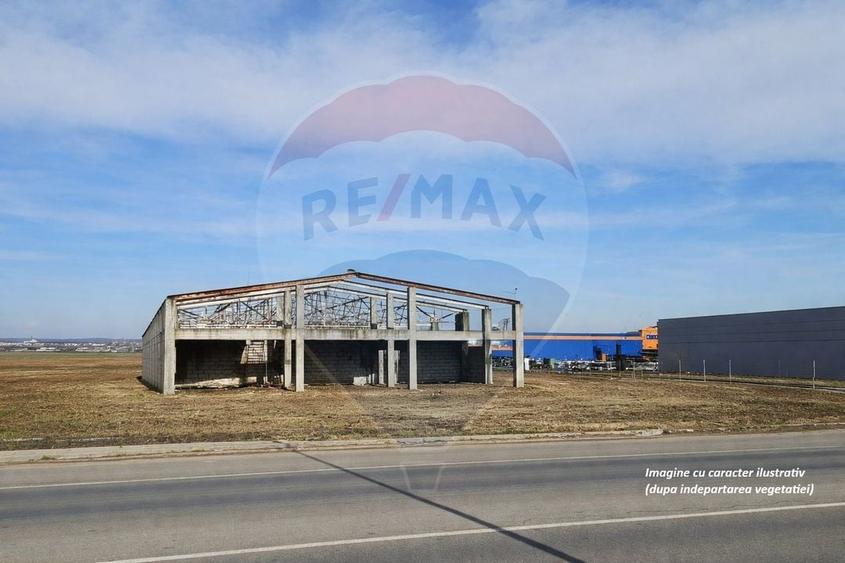 Teren Construcții intravilan de 8412 mp, în Albert