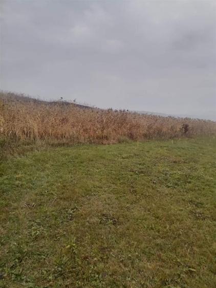 Teren Construcții intravilan de 2900 mp, în Corușu