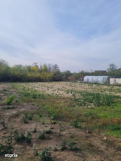 Teren de 1195 mp, în Albota