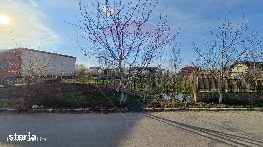 Teren de 1500 mp, în Snagov