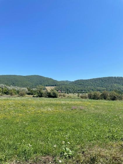 Teren de 4786 mp, în Coman