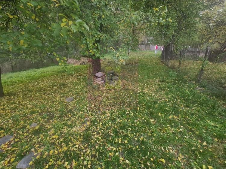 Casă cu 3 camere cu Teren 3410 Mp în Aluniș