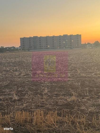Spațiu comercial, în Brănești