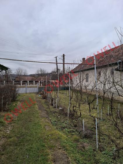 Casă individuală cu 3 camere cu Teren 2218 Mp în Mitrești